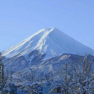 九游梦梦爱三国游戏下载